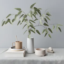 Decorative with eucalyptus branch